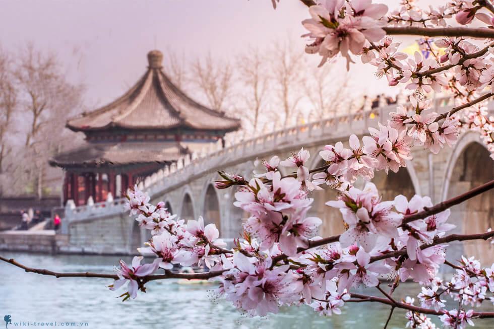 5 kinh nghiệm chọn tour du lịch Vân Nam Trung Quốc du-lich-caravan-trung-quoc-mua-nao-dep