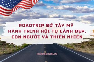 roadtrip-bo-tay-my